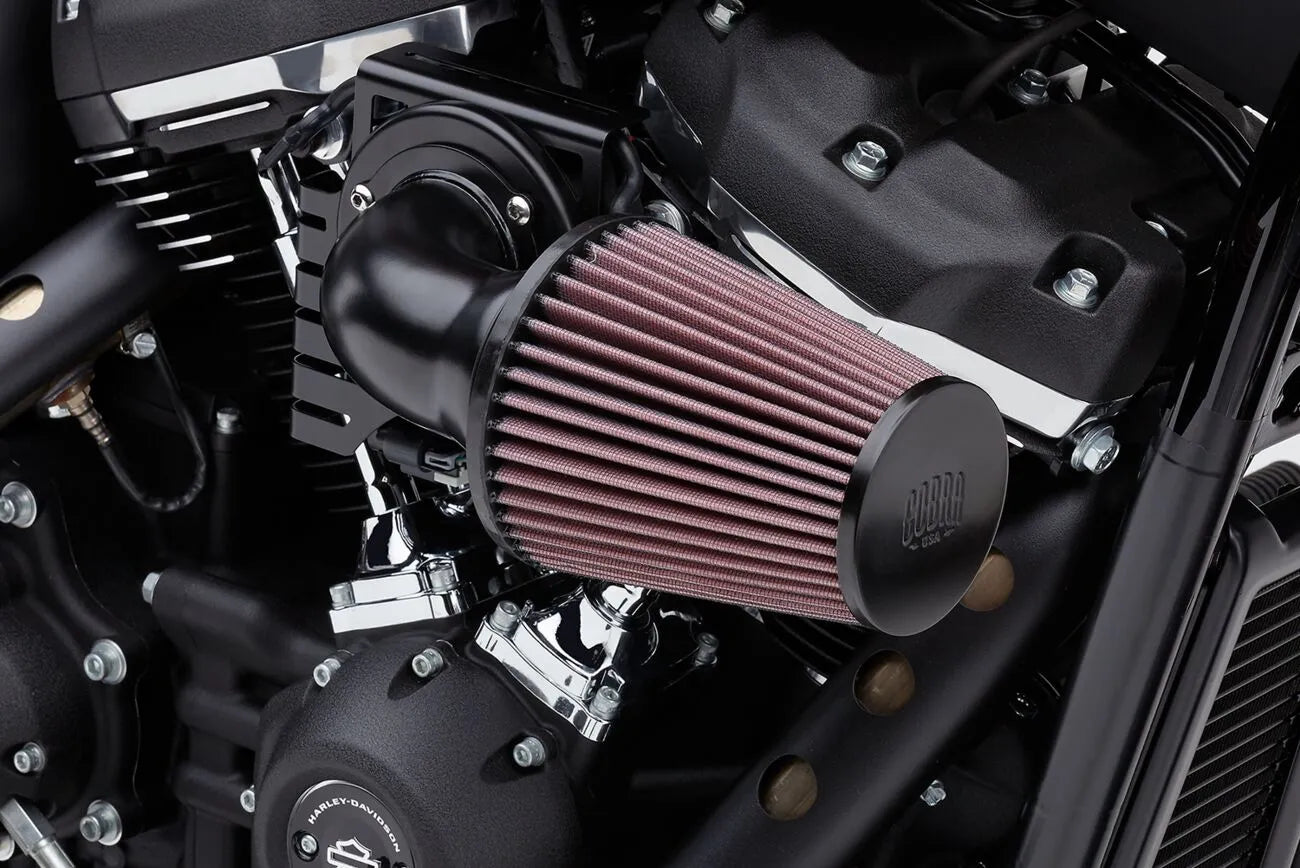 COBRA Cone Air Intake Luftfilter för 08-16 FL bild 1 PMMEDIA:6710098ccd8f4baf