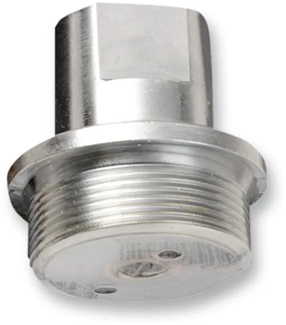 COLONY Upper Fork Tube Caps/Bolts krom bild 1 PMMEDIA:044d921bf2d3bb54