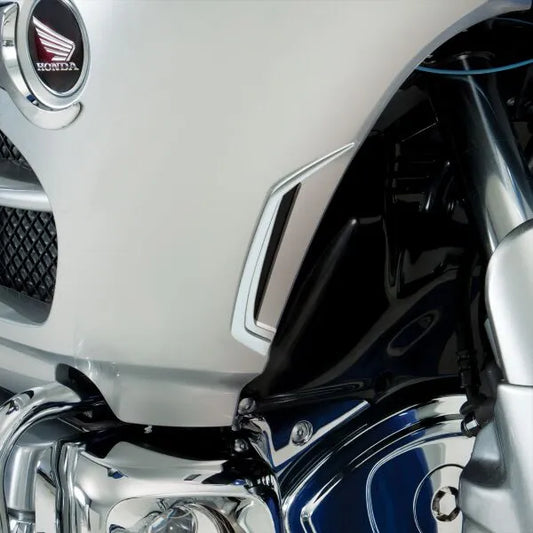SHOW CHROME Vertical Air Intake Accent kromdetalj bild 1 PMMEDIA:e6b541f3e9688297