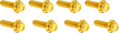 Arlen Ness Lifter Block Titanium 12-Point Bolt Kit Monteringssats fordonsanpassade bild 3 PMMEDIA:9a581a31a31694e7