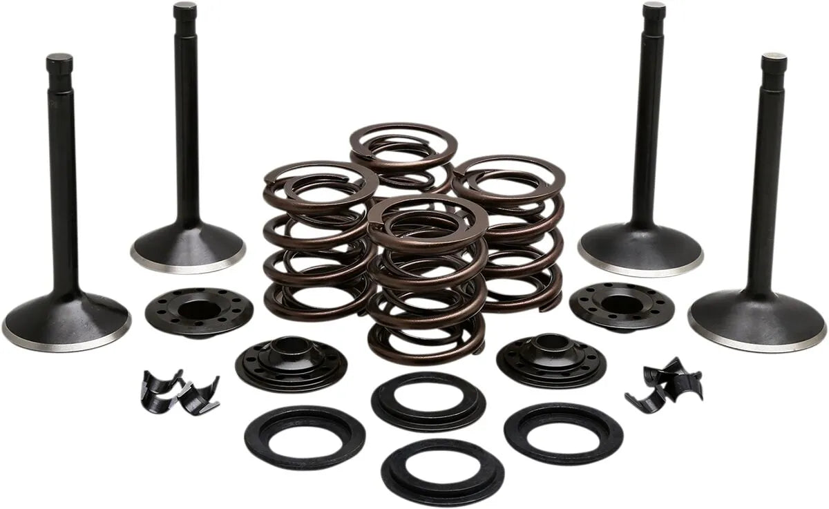 Kibblewhite Engine Valve Kit Ventiler & delar bild 2 PMMEDIA:ccb9b66fb9774f14