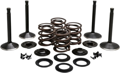 Kibblewhite Engine Valve Kit Ventiler & delar bild 2 PMMEDIA:ccb9b66fb9774f14