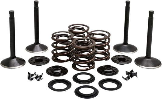 Kibblewhite Engine Valve Kit Ventiler & delar bild 2 PMMEDIA:ccb9b66fb9774f14