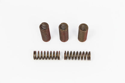 PRO CIRCUIT Clutch Spring Set för CRF250R/X 2020 bild 1 PMMEDIA:f1b50bc4220a3820