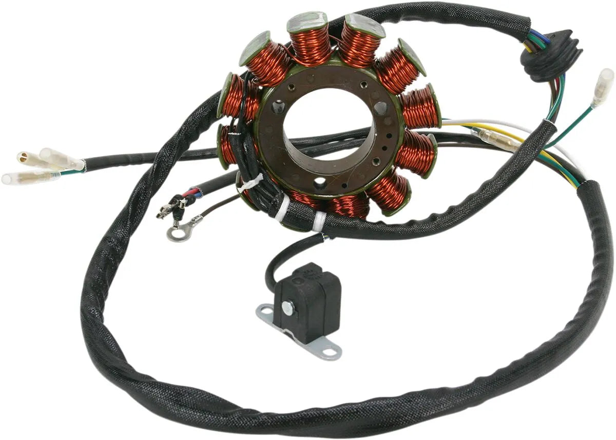 RICK'S MOTORSPORT ELECTRIC Stator Polaris bild 1 PMMEDIA:a6f5a3f870bc2703