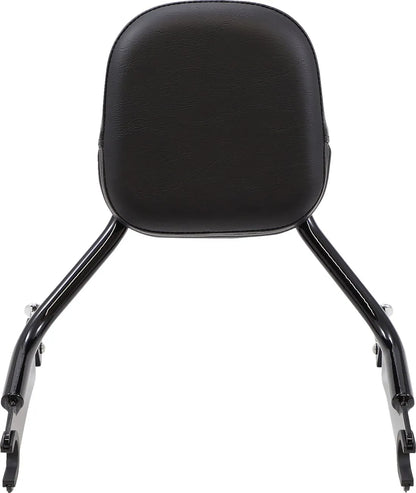 Cobra Short Detachable Backrest Sissybars bild 12 PMMEDIA:99175a107c355200