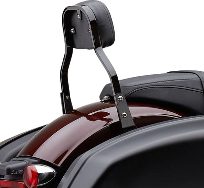 Cobra Detachable Backrest Kit Sissybars bild 5 PMMEDIA:b36642725a383cc4