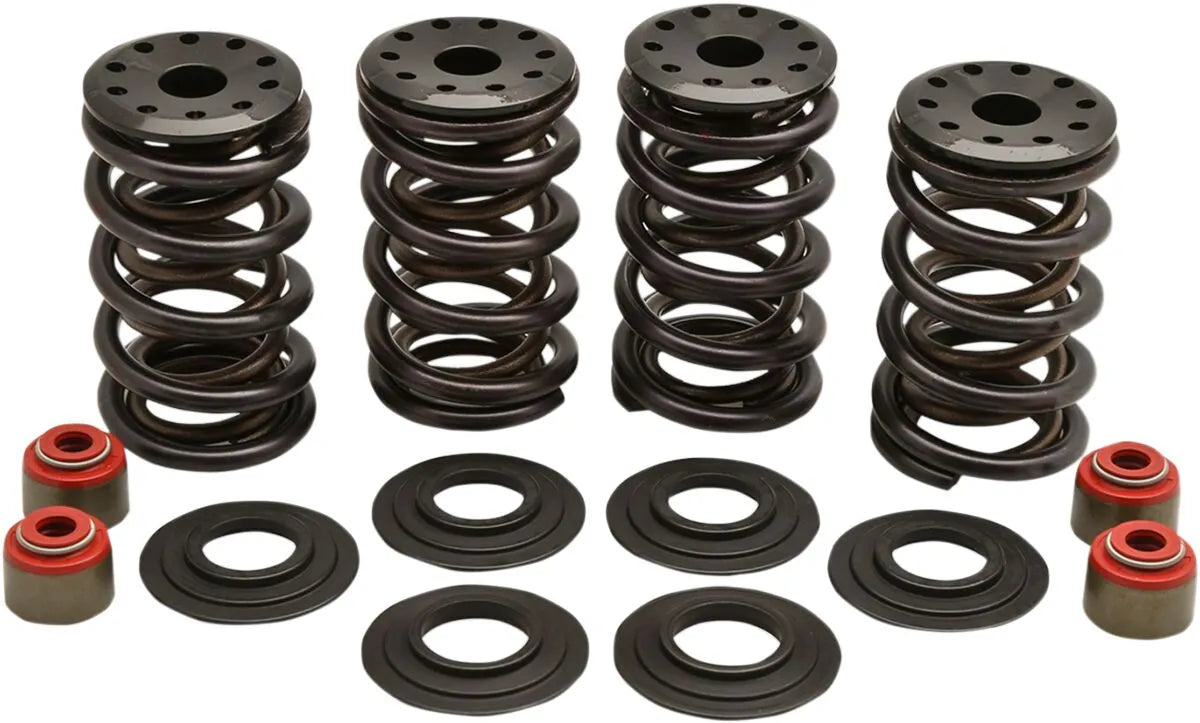KIBBLEWHITE Racing Ventilfjädersats 05-17 TC/XL bild 1 PMMEDIA:1ee3a5c6e031971b