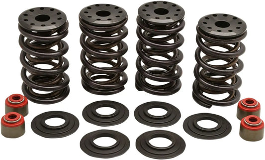KIBBLEWHITE Racing Ventilfjädersats 05-17 TC/XL bild 1 PMMEDIA:1ee3a5c6e031971b