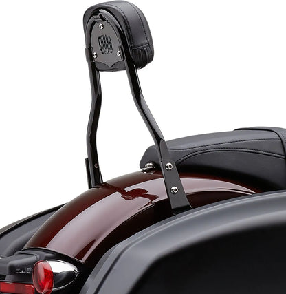 Cobra Detachable Backrest Kit Sissybars bild 8 PMMEDIA:e92f33aa768028df