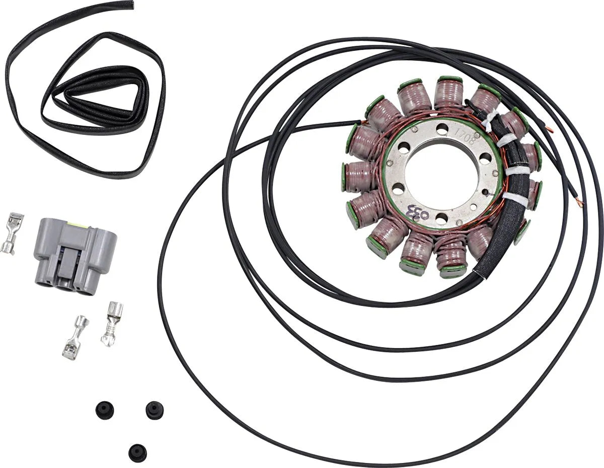 RICK'S MOTORSPORT ELECTRIC OEM Style Stator BMW 21-033 bild 1 PMMEDIA:90151547187d6820
