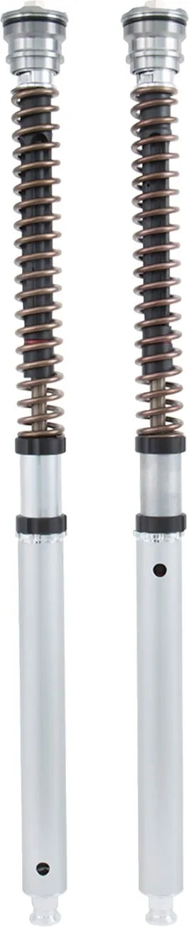 Ohlins FGK Road/Track 30 mm Front Fork Cartridge Kit Cartrige kit bild 1 PMMEDIA:69227e9293386712