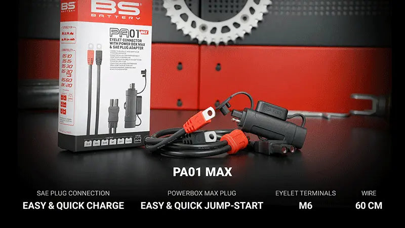 BS BATTERY PA-01 MAX Öglaanslutning bild 3 PMMEDIA:b44ffc8883c31d1d