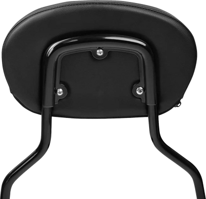 Saddlemen 3-Point Sissy Bar Pad Bracket Ryggstöd för sadlar bild 13 PMMEDIA:d8ae7f0d527eb5d2