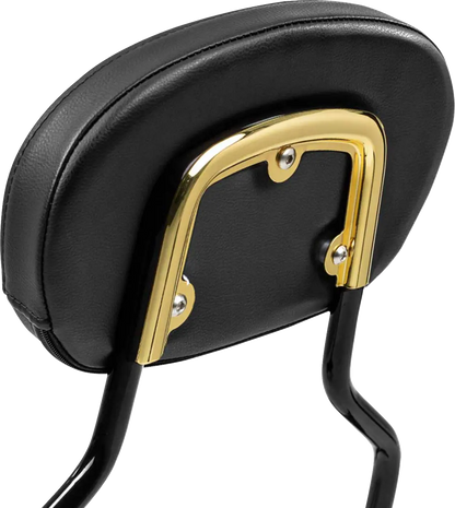 Saddlemen 3-Point Sissy Bar Pad Bracket Ryggstöd för sadlar bild 6 PMMEDIA:92811019cee61ea5