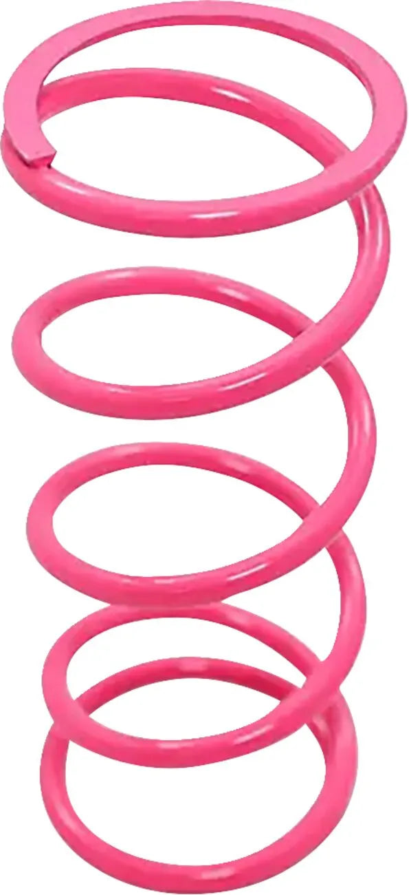 DYNOJET Primärkopplingsfjäder Hot Pink Can Am X3 bild 1 PMMEDIA:e76803d75065726b