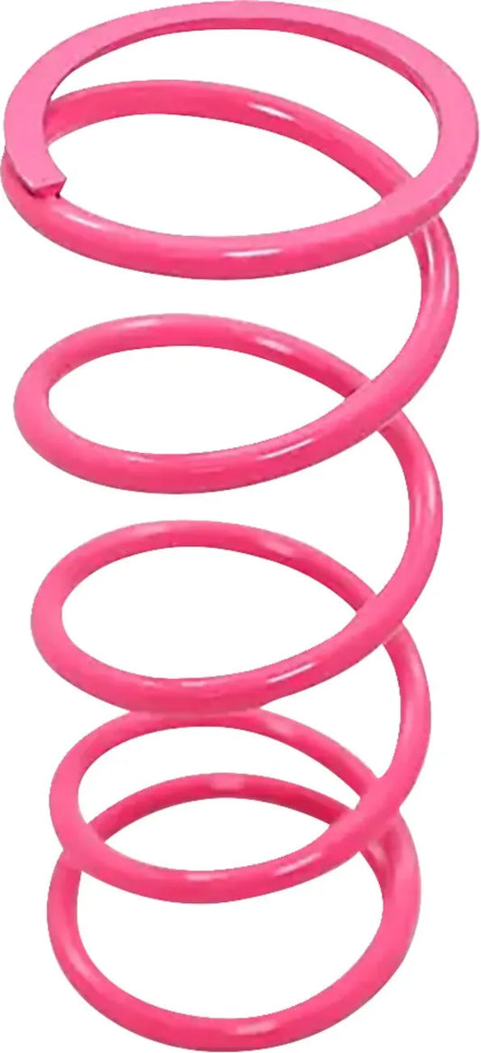 DYNOJET Primärkopplingsfjäder Hot Pink Can Am X3 bild 1 PMMEDIA:e76803d75065726b