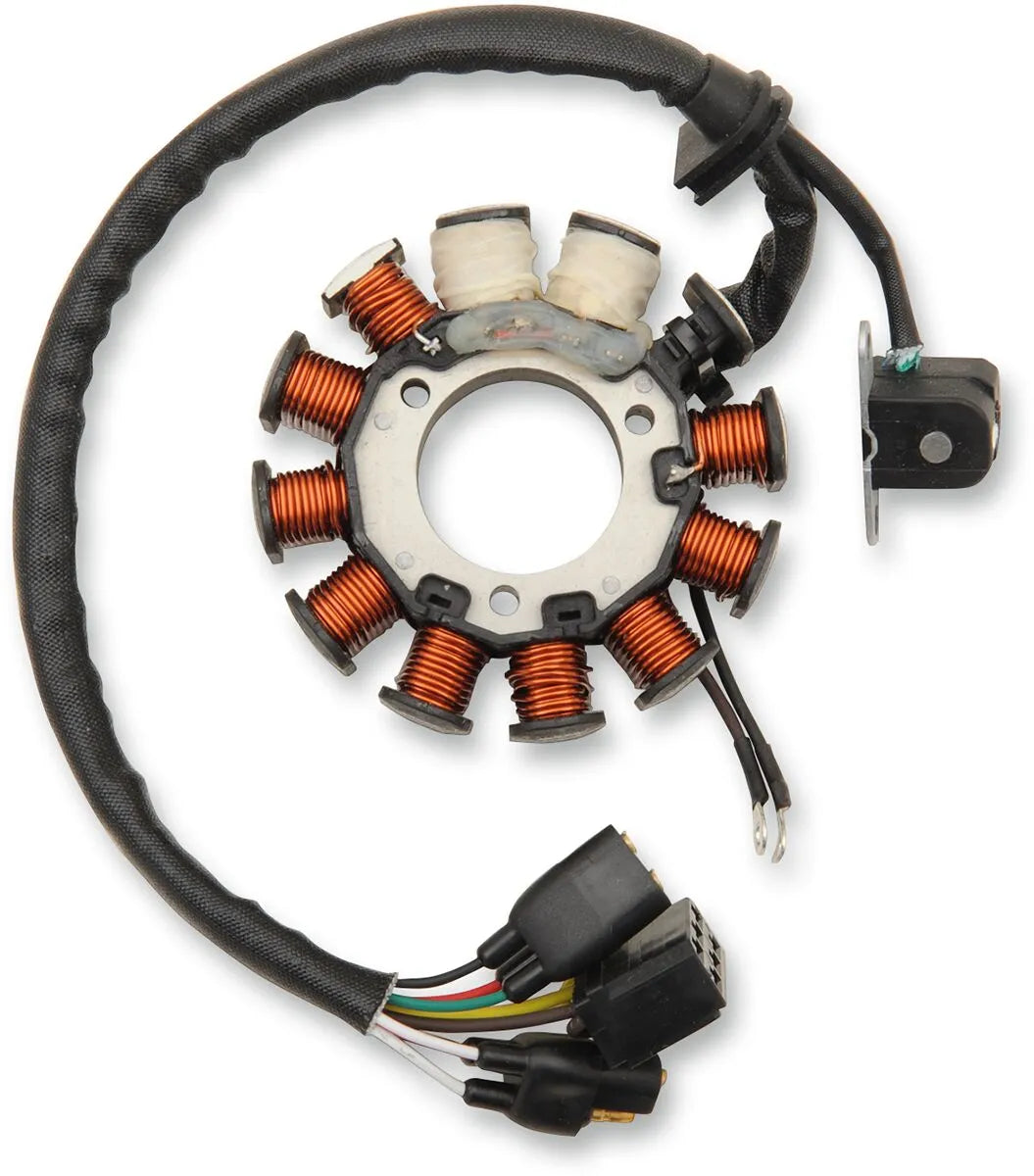 RICK'S MOTORSPORT ELECTRIC Stator Polaris bild 1 PMMEDIA:3b98a16d1d3f68ed