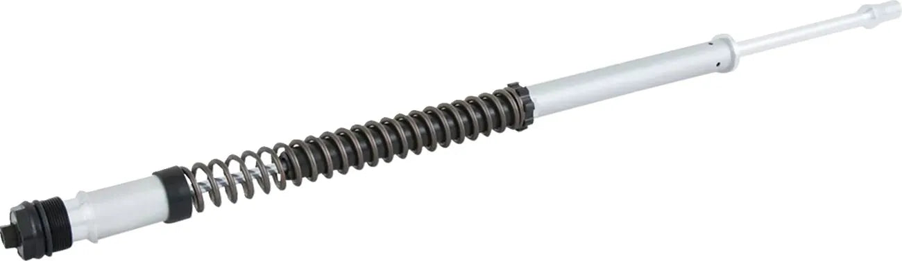OHLINS Fork Cartridge Kit Harley-Davidson FL NIX22 FKS 226 bild 4 PMMEDIA:a0c4c39fd163dc06