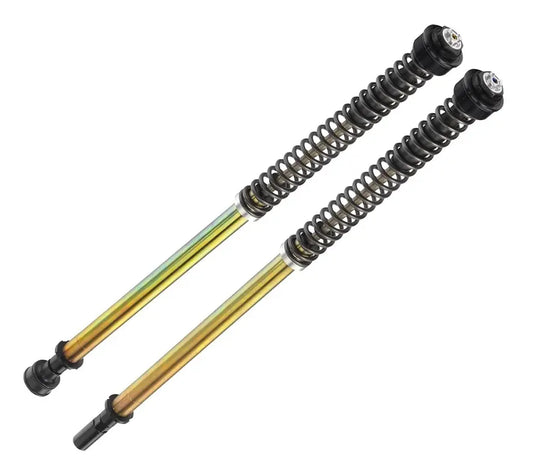 BITUBO S.R.L. ABA Series Framgaffelkassett Low Rider ST bild 1 PMMEDIA:21b093a6ca609b6d