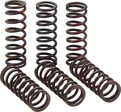 PRO CIRCUIT Kopplingsfjäderset CRF450R bild 3 PMMEDIA:e80328674f13091d