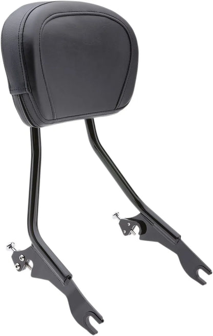 Cobra Detachable Backrest Sissybars bild 1 PMMEDIA:d76256cf052992c0
