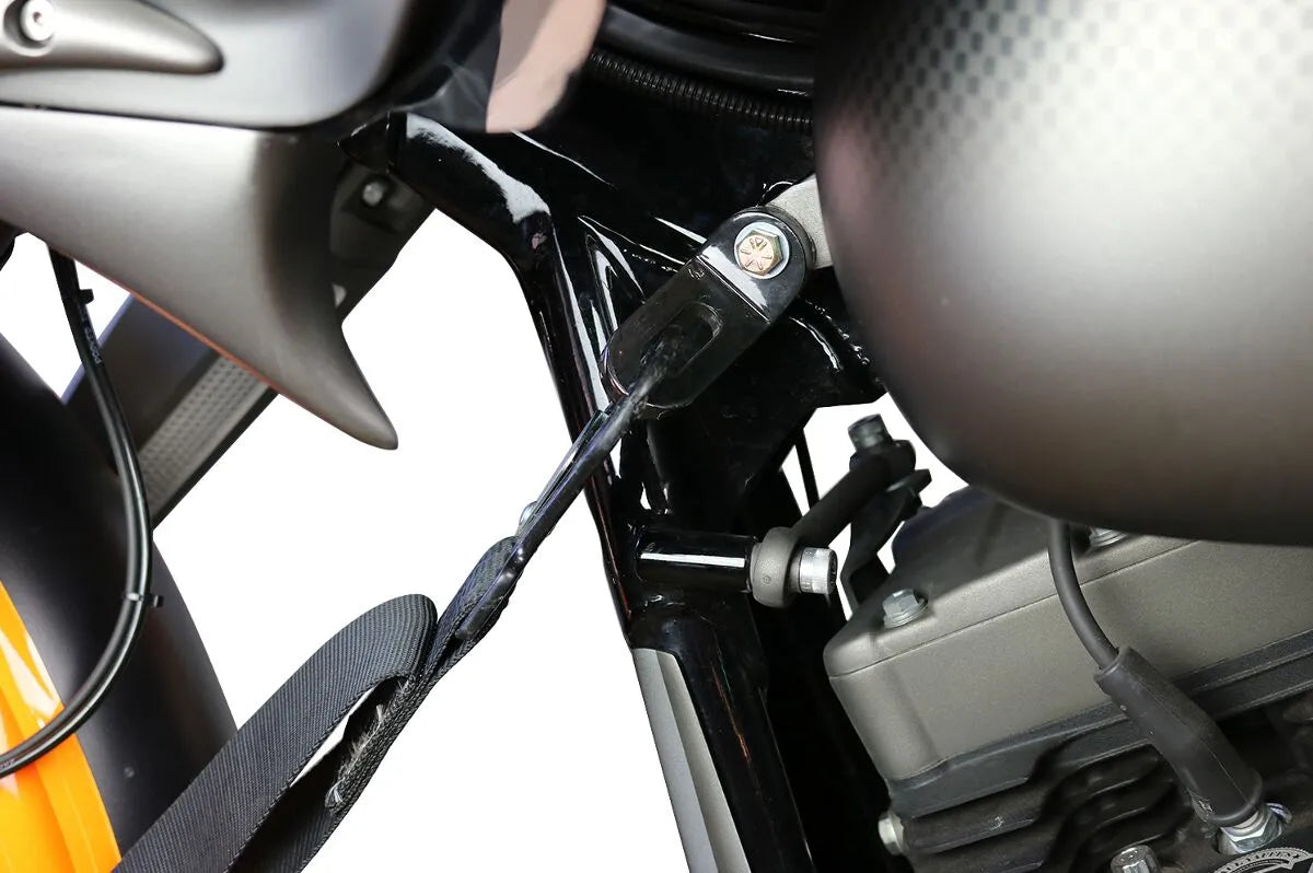 PAUL YAFFE BAGGER NATION Touchless Tie-Down System bild 2 PMMEDIA:bde5dbeb71d17d28