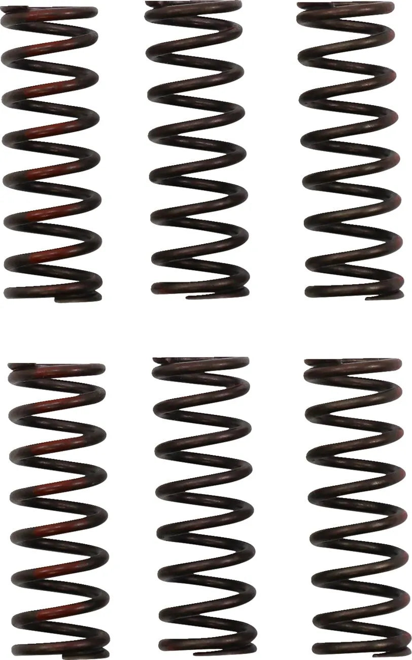 PRO CIRCUIT Kopplingsfjäderset CRF450R bild 1 PMMEDIA:dc465132a7c638a1