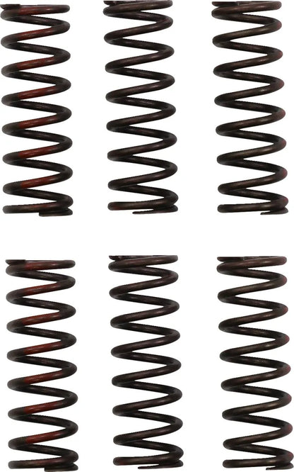 PRO CIRCUIT Kopplingsfjäderset CRF450R bild 1 PMMEDIA:dc465132a7c638a1