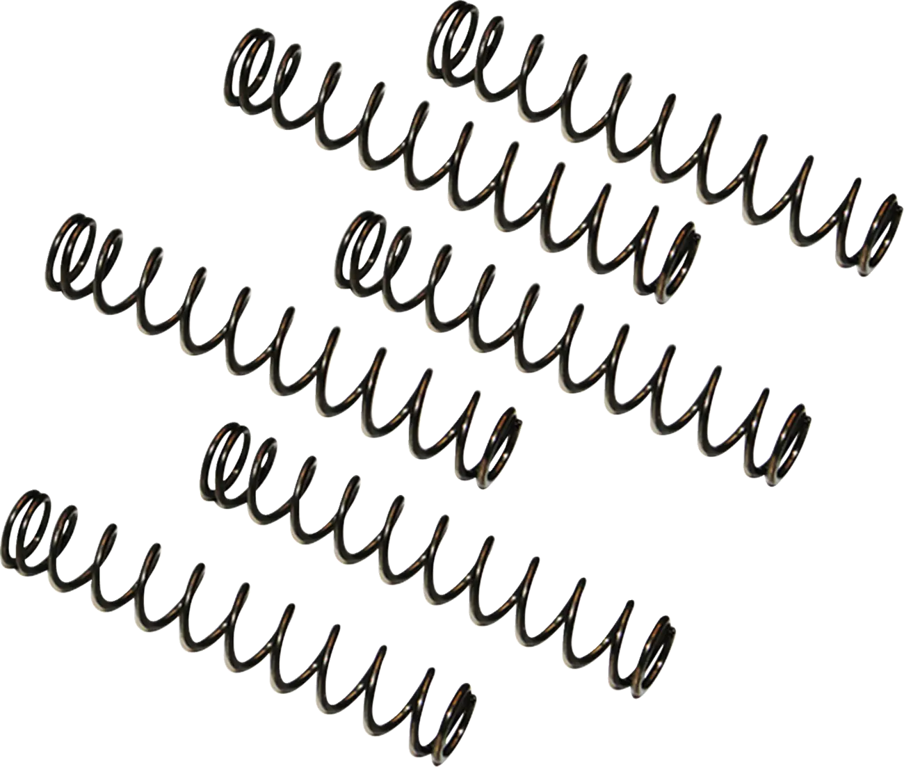 FEULING PARTS Camplate Tryckavlastningsfjäder 6-pack bild 1 PMMEDIA:29b5b65361f3ee40