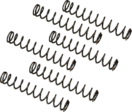 FEULING PARTS Camplate Tryckavlastningsfjäder 6-pack bild 1 PMMEDIA:29b5b65361f3ee40