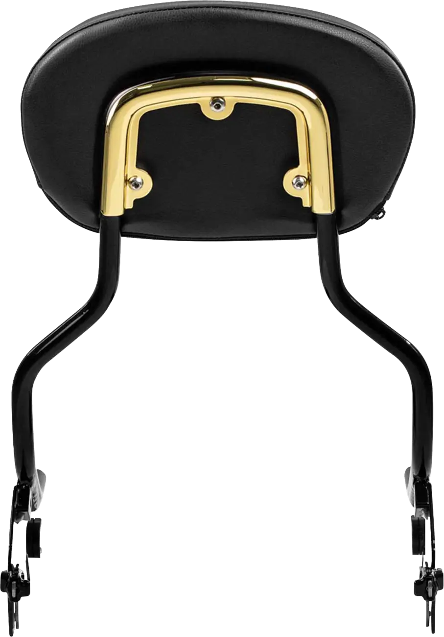 Saddlemen 3-Point Sissy Bar Pad Bracket Ryggstöd för sadlar bild 8 PMMEDIA:e509d29c48d6db86