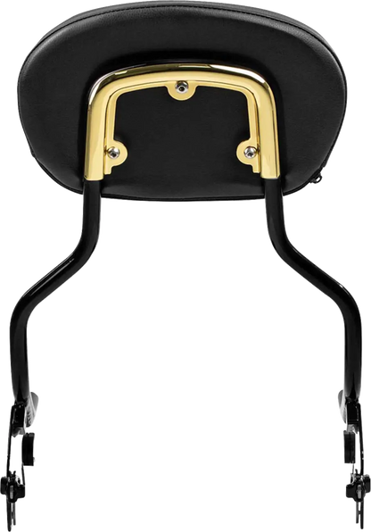 Saddlemen 3-Point Sissy Bar Pad Bracket Ryggstöd för sadlar bild 8 PMMEDIA:e509d29c48d6db86
