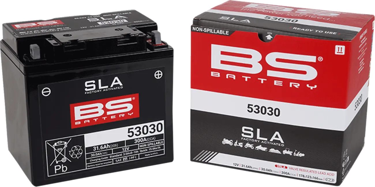 BS BATTERY 53030 SLA Underhållsfritt AGM-batteri bild 3 PMMEDIA:acfacfffefa628a3
