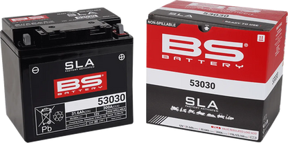 BS BATTERY 53030 SLA Underhållsfritt AGM-batteri bild 3 PMMEDIA:acfacfffefa628a3
