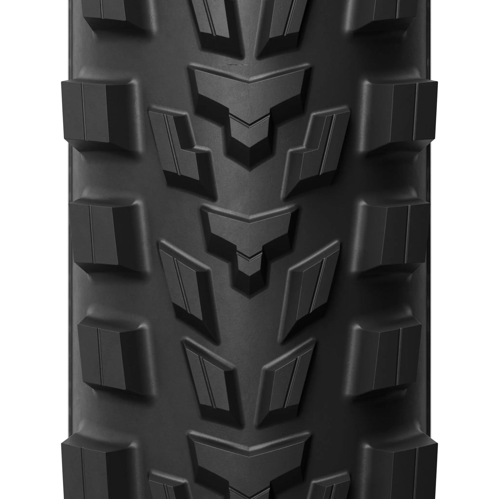 MICHELIN Wild Enduro Racing 29" x 2.40 Bakdäck bild 6 PMMEDIA:6c202c316e04da14