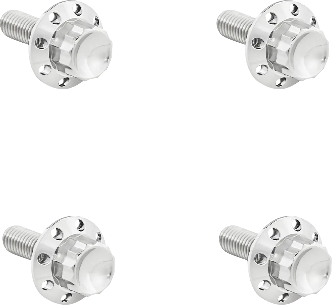 Arlen Ness Titanium 12-Point Windshield Bolts Monteringssats fordonsanpassade bild 2 PMMEDIA:bb23c0f658a6202d