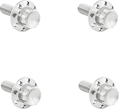 Arlen Ness Titanium 12-Point Windshield Bolts Monteringssats fordonsanpassade bild 2 PMMEDIA:bb23c0f658a6202d