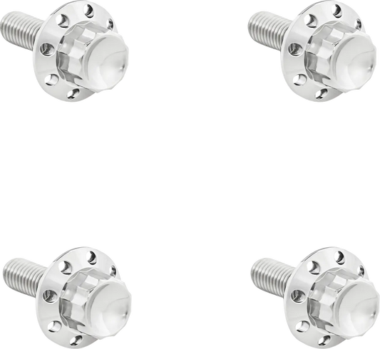 Arlen Ness Titanium 12-Point Windshield Bolts Monteringssats fordonsanpassade bild 2 PMMEDIA:bb23c0f658a6202d