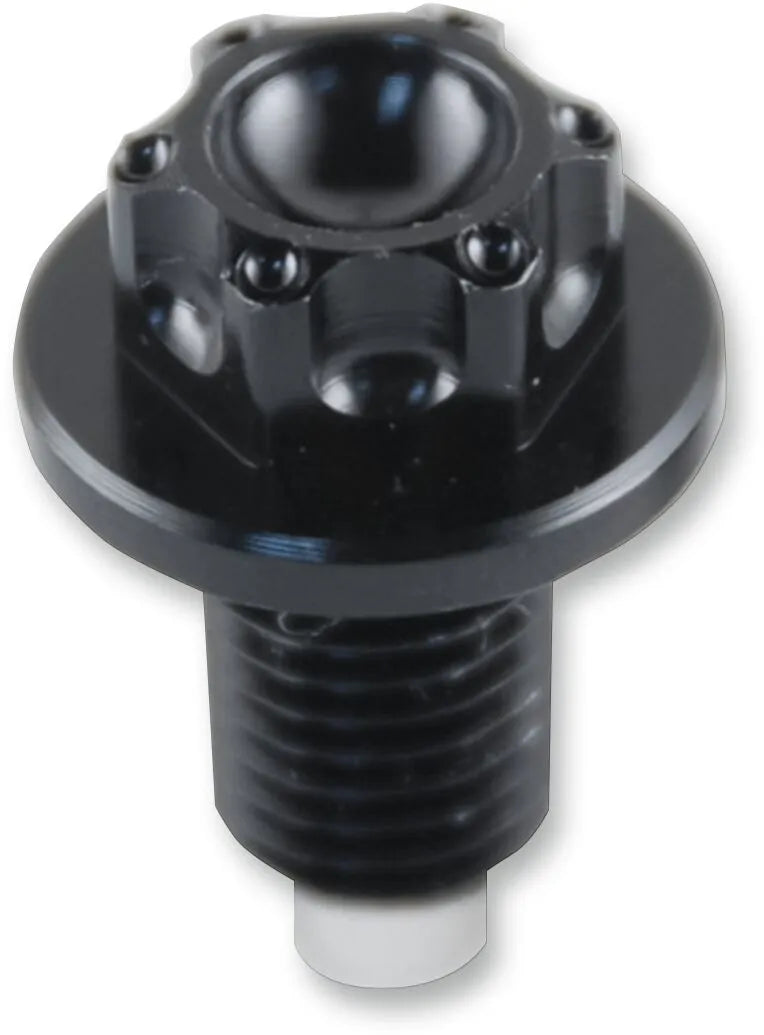 Psr Magnetic Oil Drain Plug Kåpor & vevhusdelar bild 5 PMMEDIA:97dc5197f3c1b58c