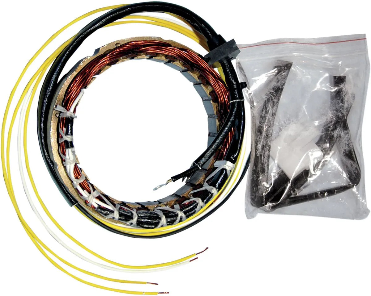 RICK'S MOTORSPORT ELECTRIC Stator Honda 21-100 bild 1 PMMEDIA:b80cf04a637ce1e6
