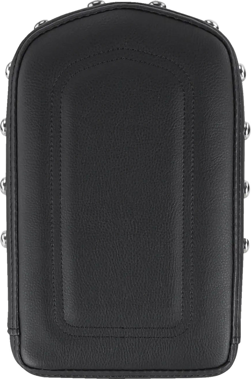 Saddlemen Sissy Bar Pad Sissybar ryggstöd bild 3 PMMEDIA:6911ef8453aaae29