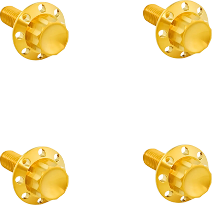 Arlen Ness Titanium 12-Point Windshield Bolts Monteringssats fordonsanpassade bild 3 PMMEDIA:0b0e4b6489a0be09