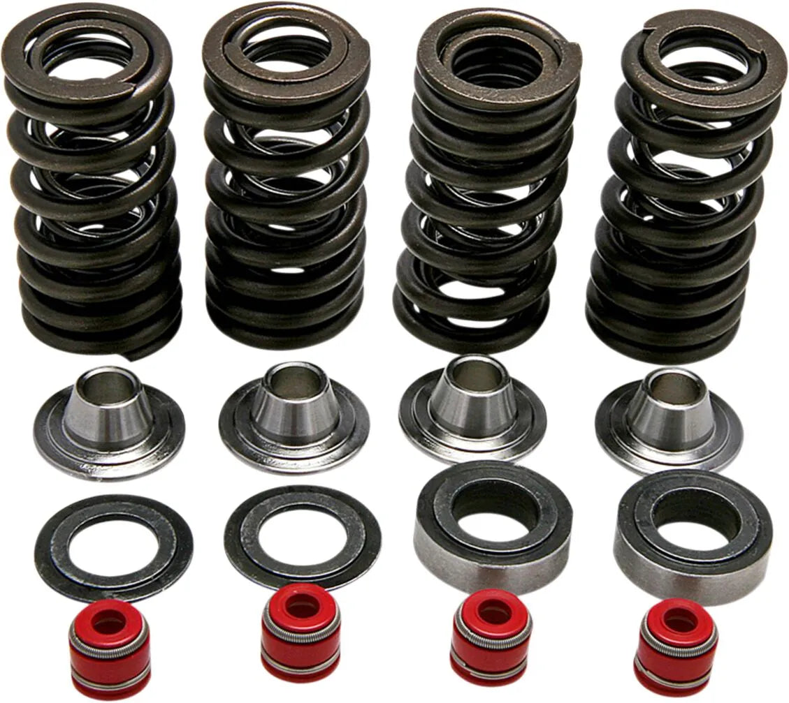 KIBBLEWHITE Valve Spring Kit för CRF250R bild 1 PMMEDIA:23fcdecc84a2d9a0