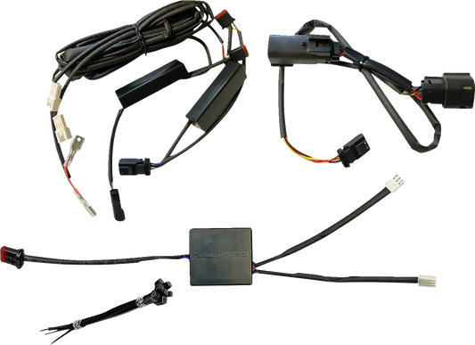 CUSTOM DYNAMICS Horn Trigger Alternating Strobe Module bild 1 PMMEDIA:0738f61613735821
