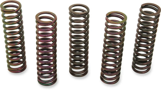 BARNETT Clutch Spring Kit för Suzuki bild 1 PMMEDIA:fdd8bd5a38b8d484
