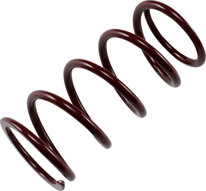 Epi Primary Clutch Spring Centrifugalkopplingar primär M bild 3 PMMEDIA:59197c7354858545