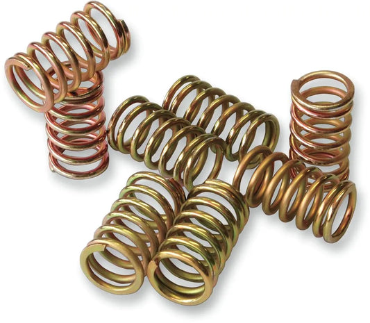 HINSON RACING Kopplingsfjäderkit bild 1 PMMEDIA:1bf12f28bd2b1f94