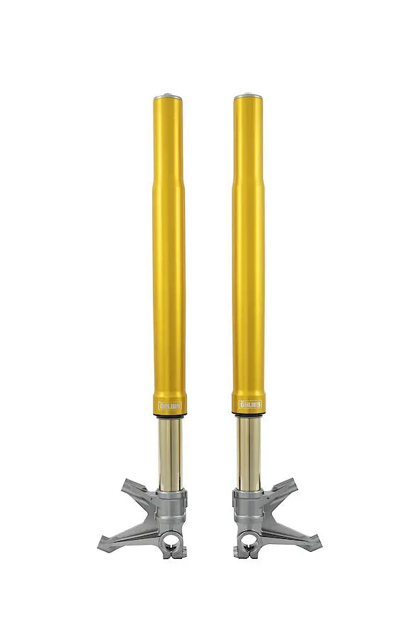 Öhlins Frontgaffel BMW S1000RR/M1000RR FGR 265 bild 3 PMMEDIA:975adf313e8c240b