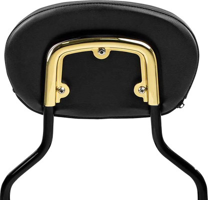 Saddlemen 3-Point Sissy Bar Pad Bracket Ryggstöd för sadlar bild 11 PMMEDIA:d4abfa13dd515701